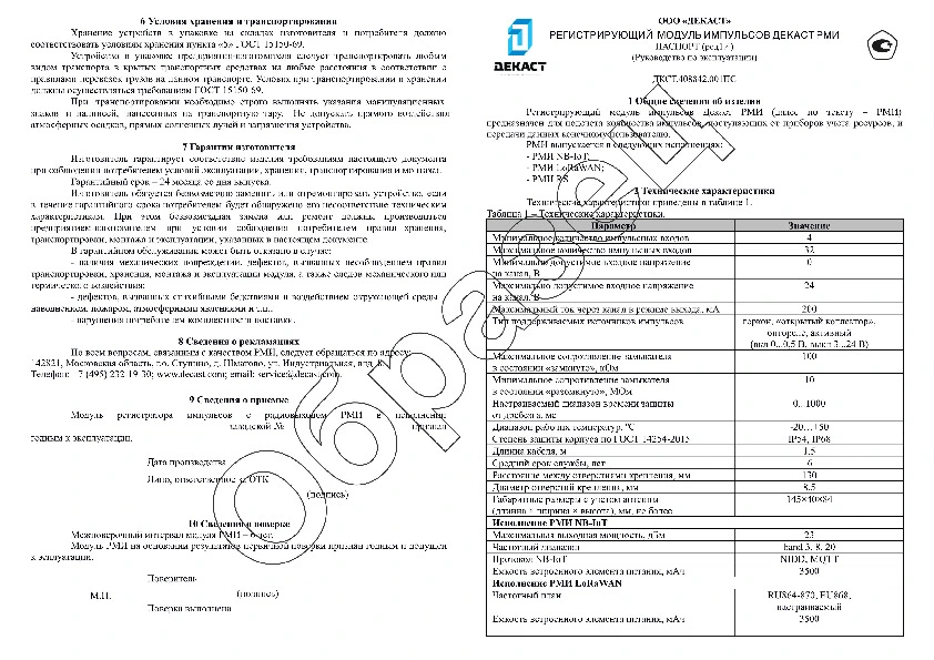 Образец паспорта РМИ